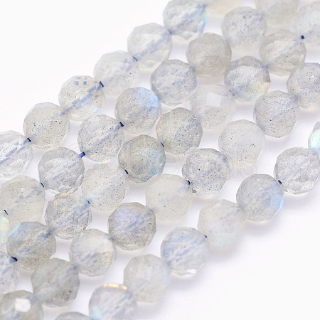 Natural Labradorite Beads Strands G-O166-22-4mm-1