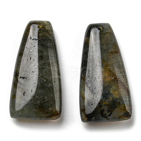 Natural Labradorite Pendants G-M405-11-1