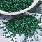 MIYUKI Delica Beads, Cylinder, Japanese Seed Beads, 11/0, (DB1788) White Lined Emerald AB, 1.3x1.6mm, Hole: 0.8mm, about 2000pcs/10g